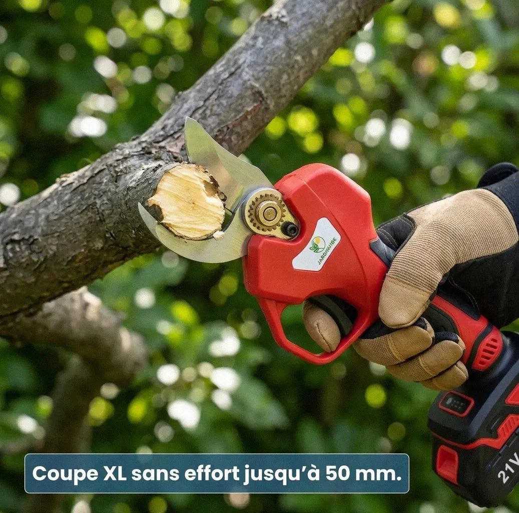 Sécateur Électrique JV2 XL
