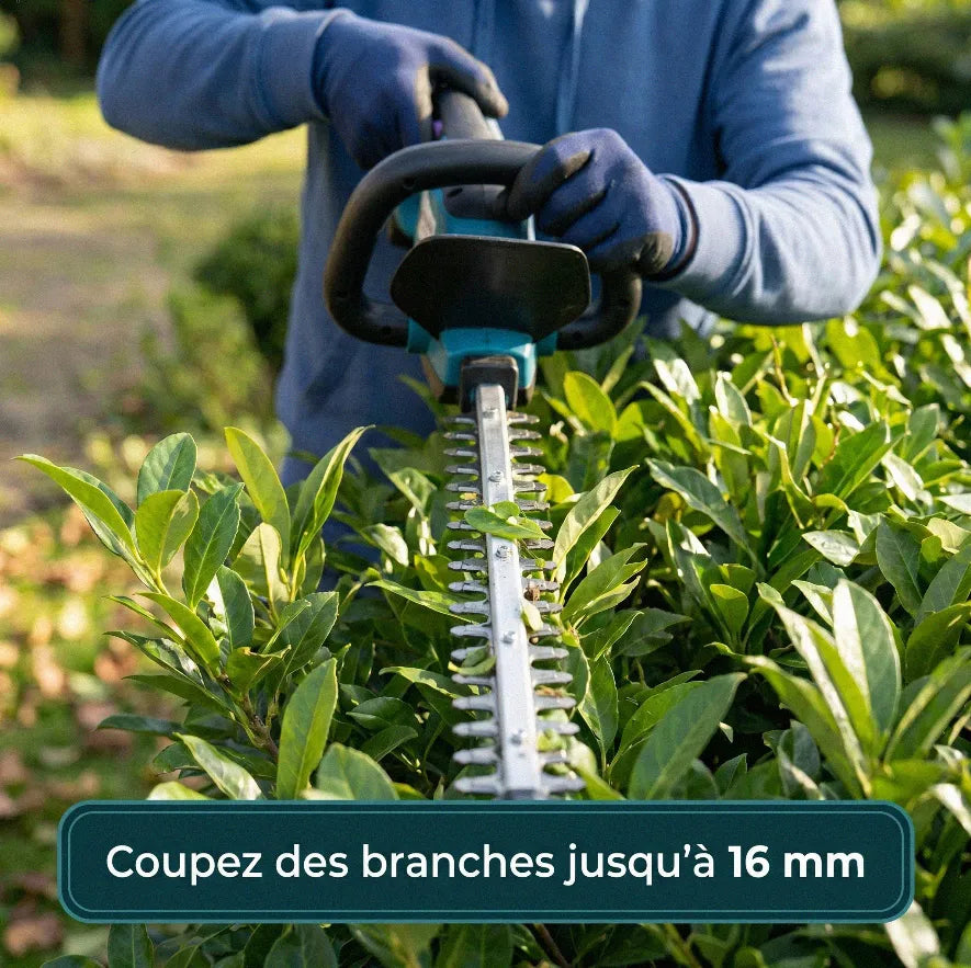 Taille-haie électrique JV2