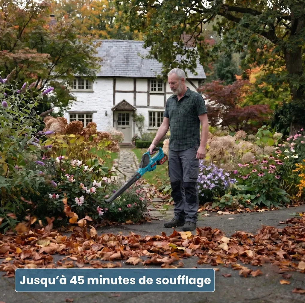 Souffleur d'air électrique JV1